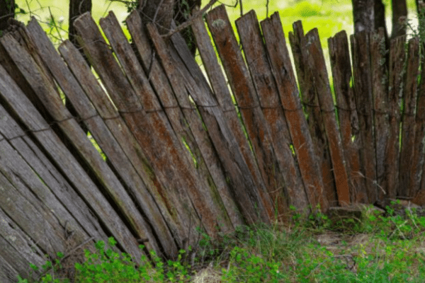 Old wooden fence leaning in grass field