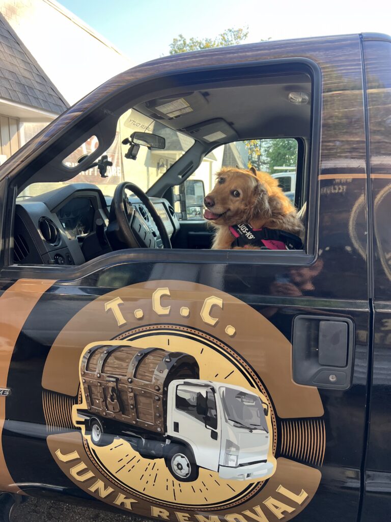 Dog in T.C.C. Junk Removal truck cabin.